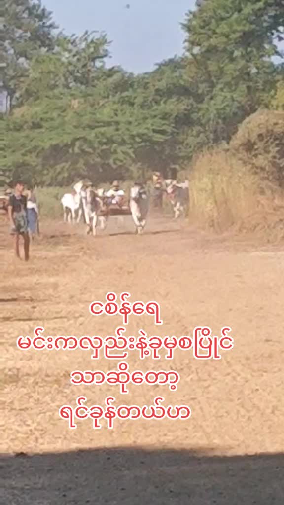 @THAN ZAW WIN