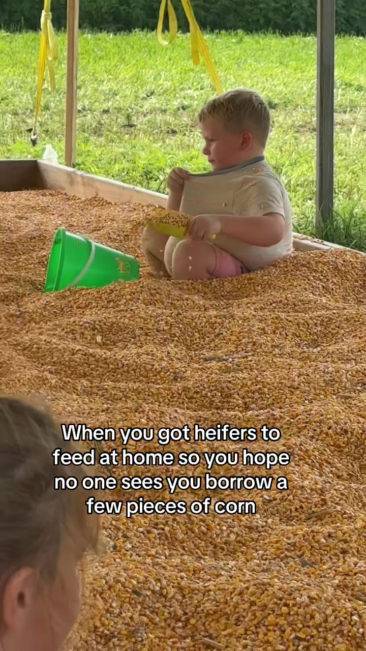 @raisedondairy