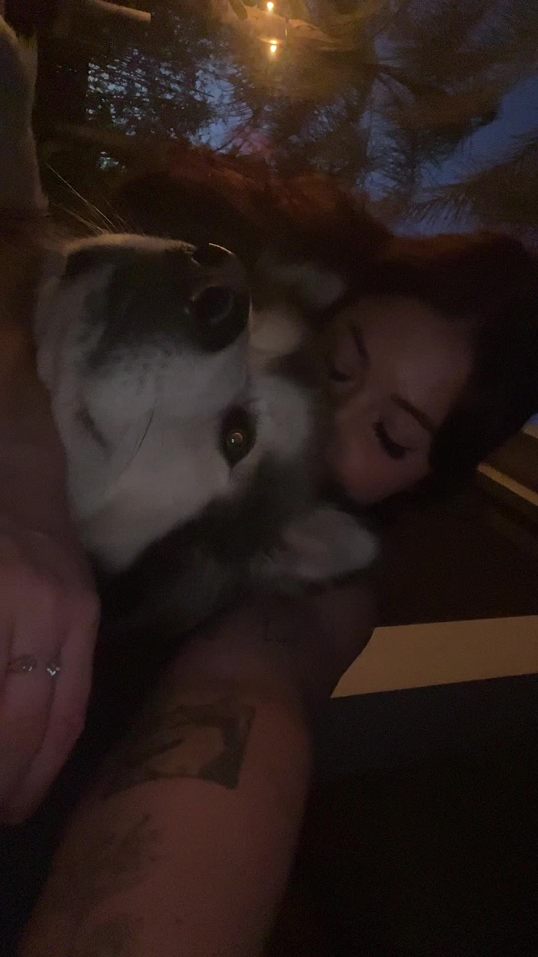 @KokaKoaTheAlaskanMalamute