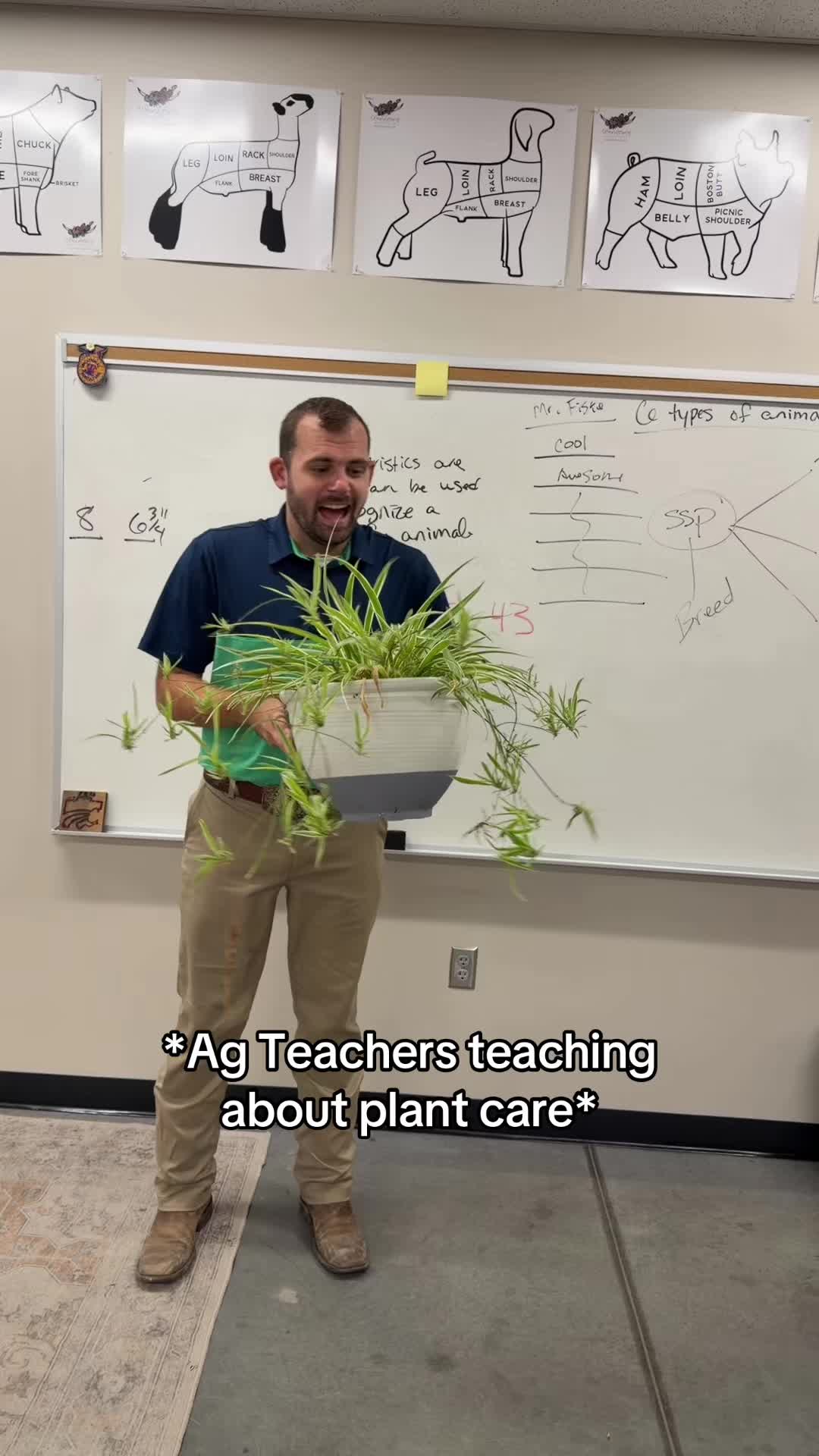 @Mr. Cade Fiske