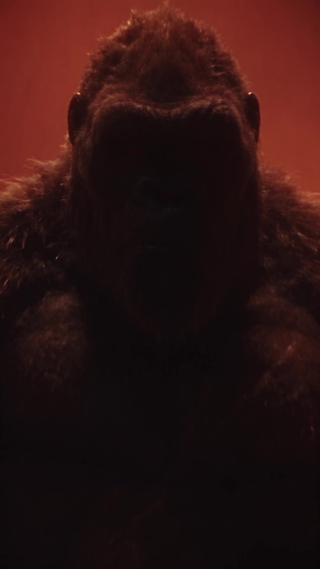 @CIFCO