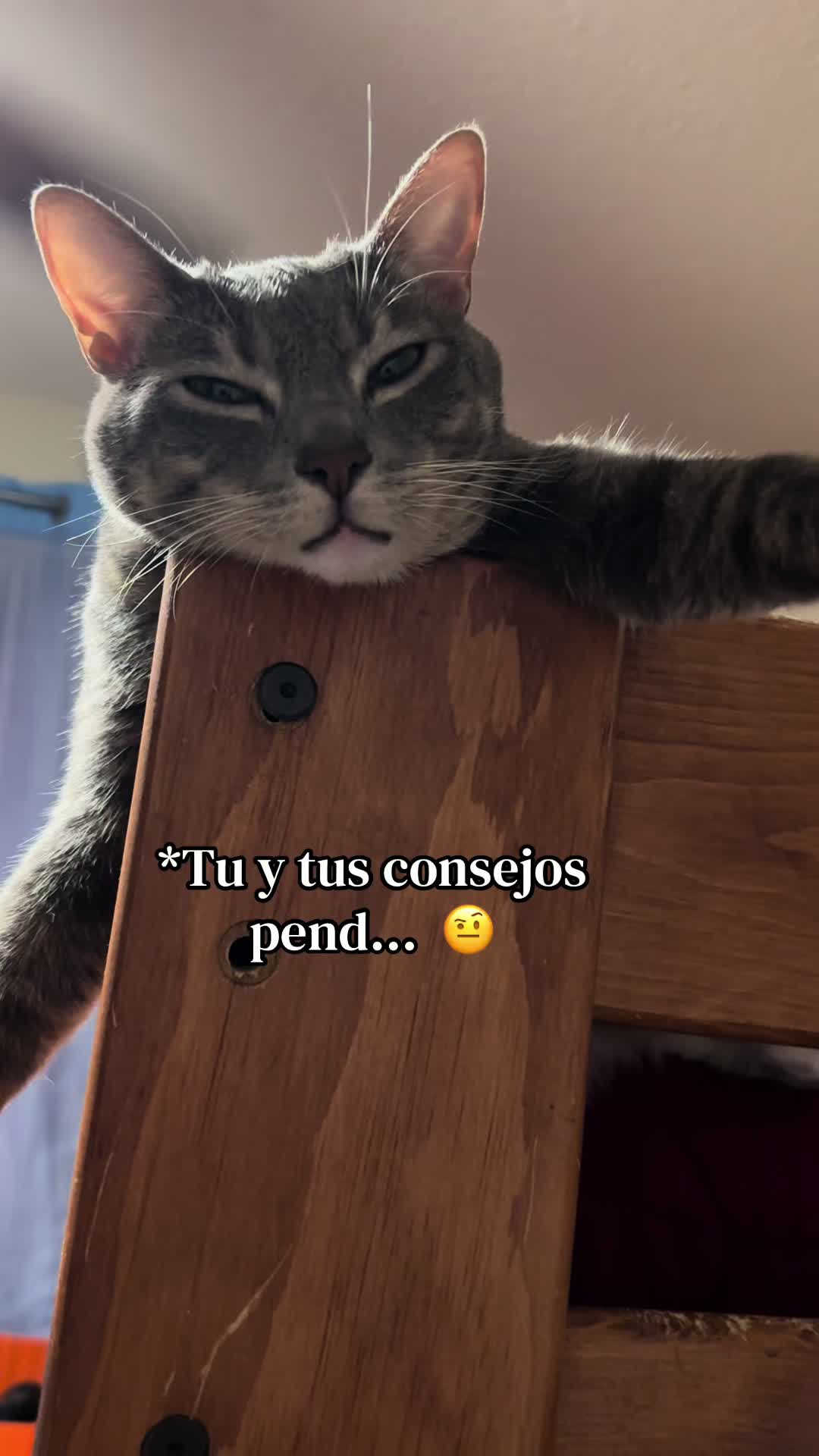 @Liz Vall.