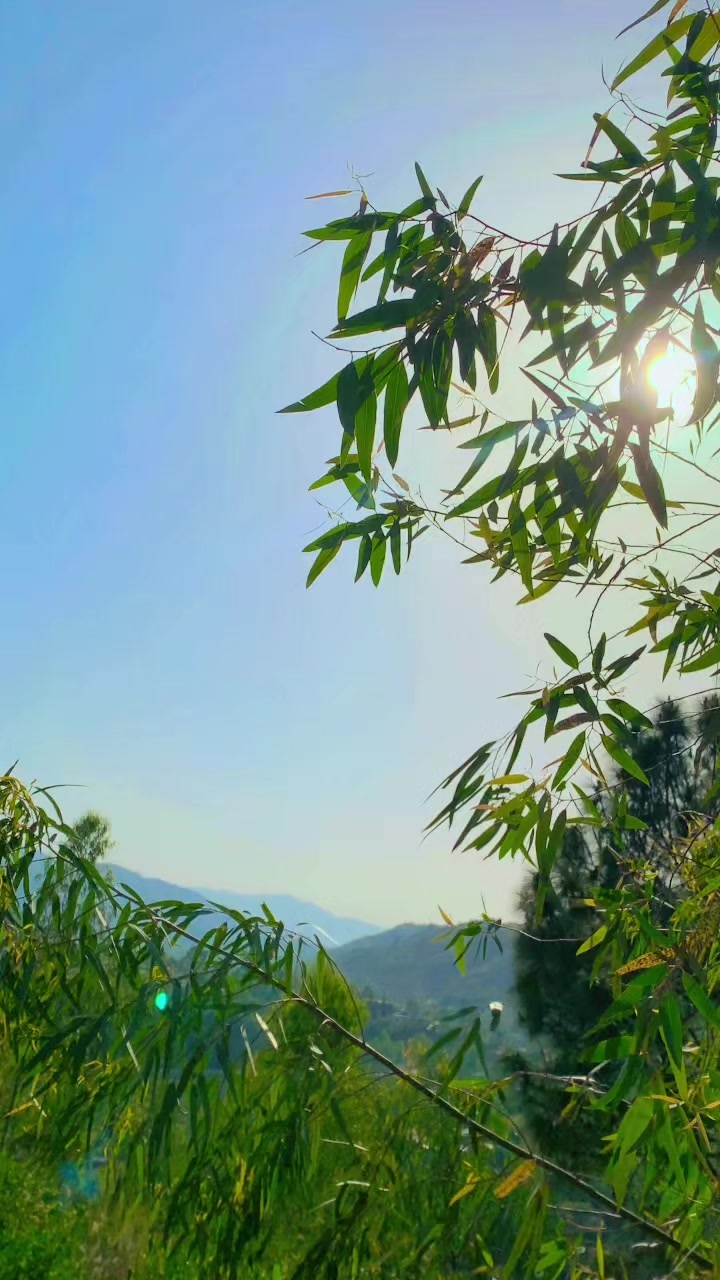 @🕊️فواد---💓
