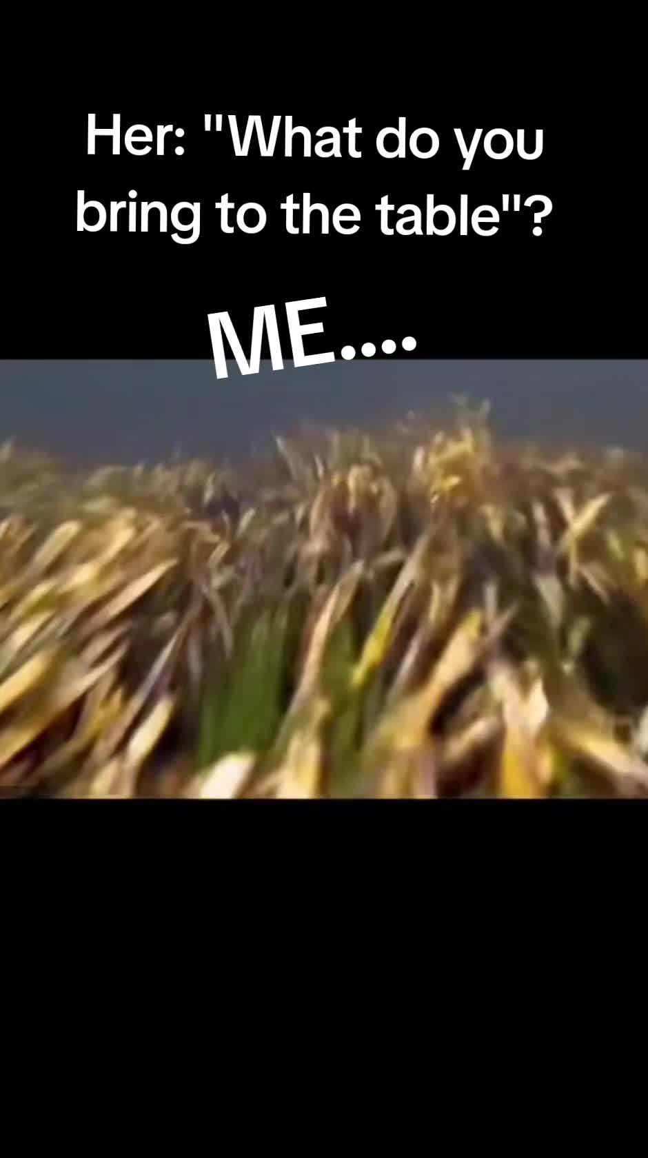 @Trailerpark2