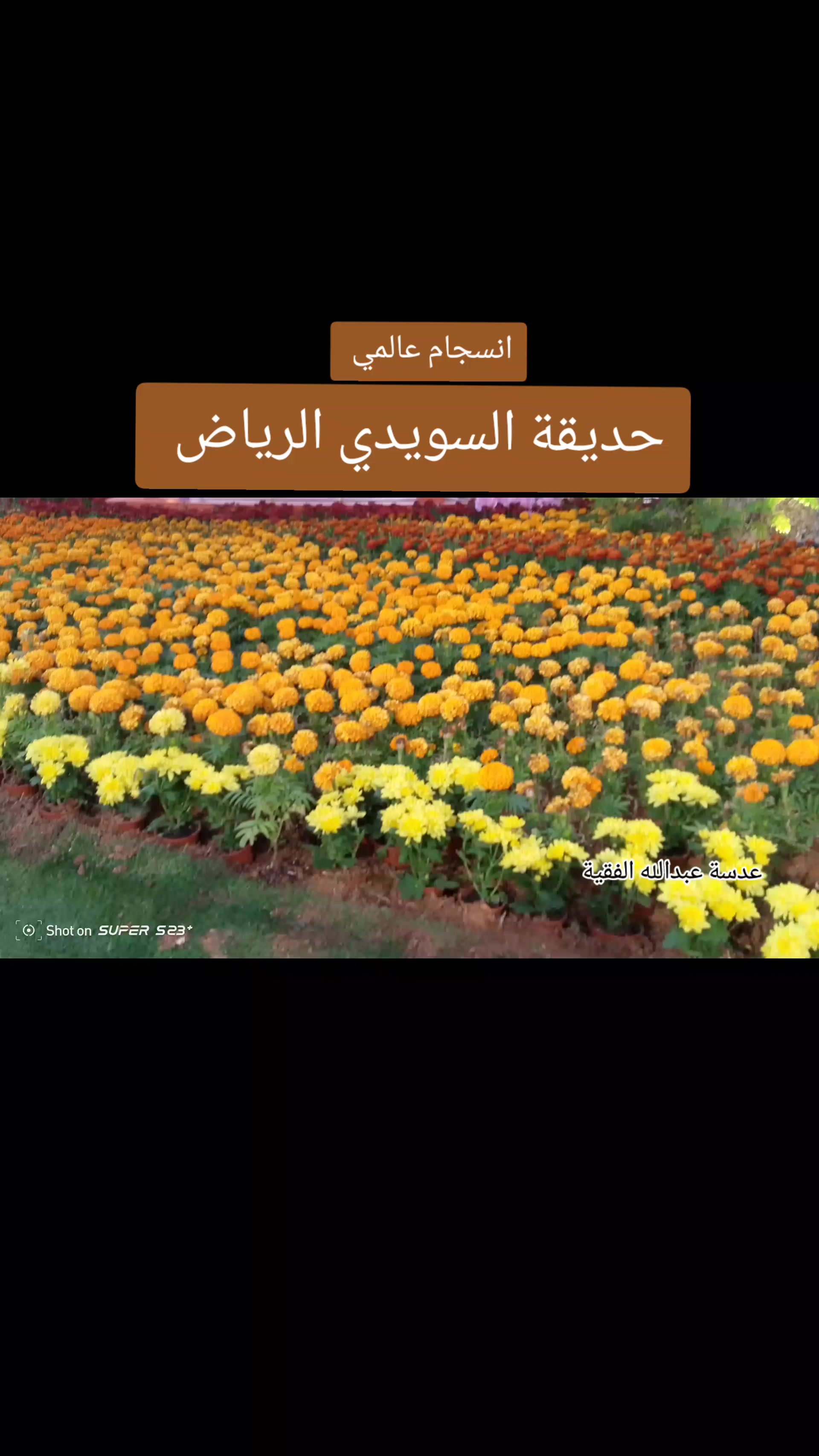 @عبدالله الفقية