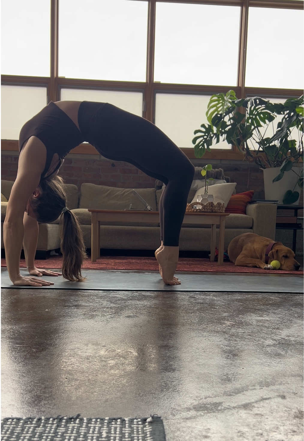 @averyjanehicks