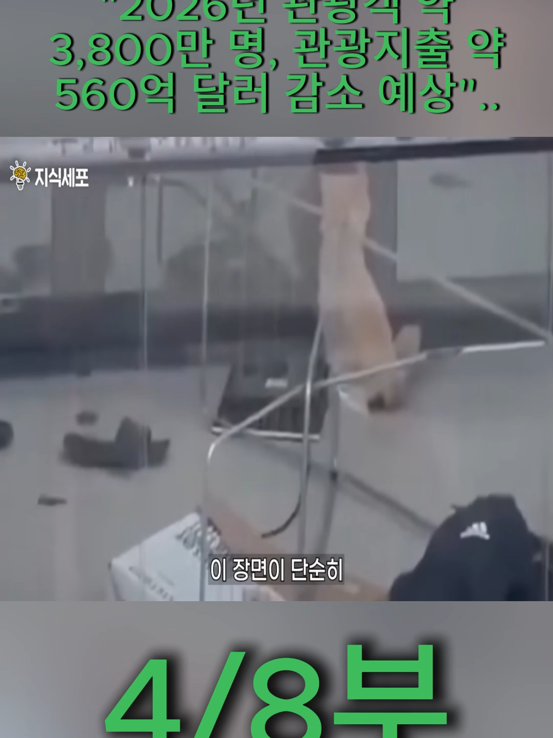 @지식세포