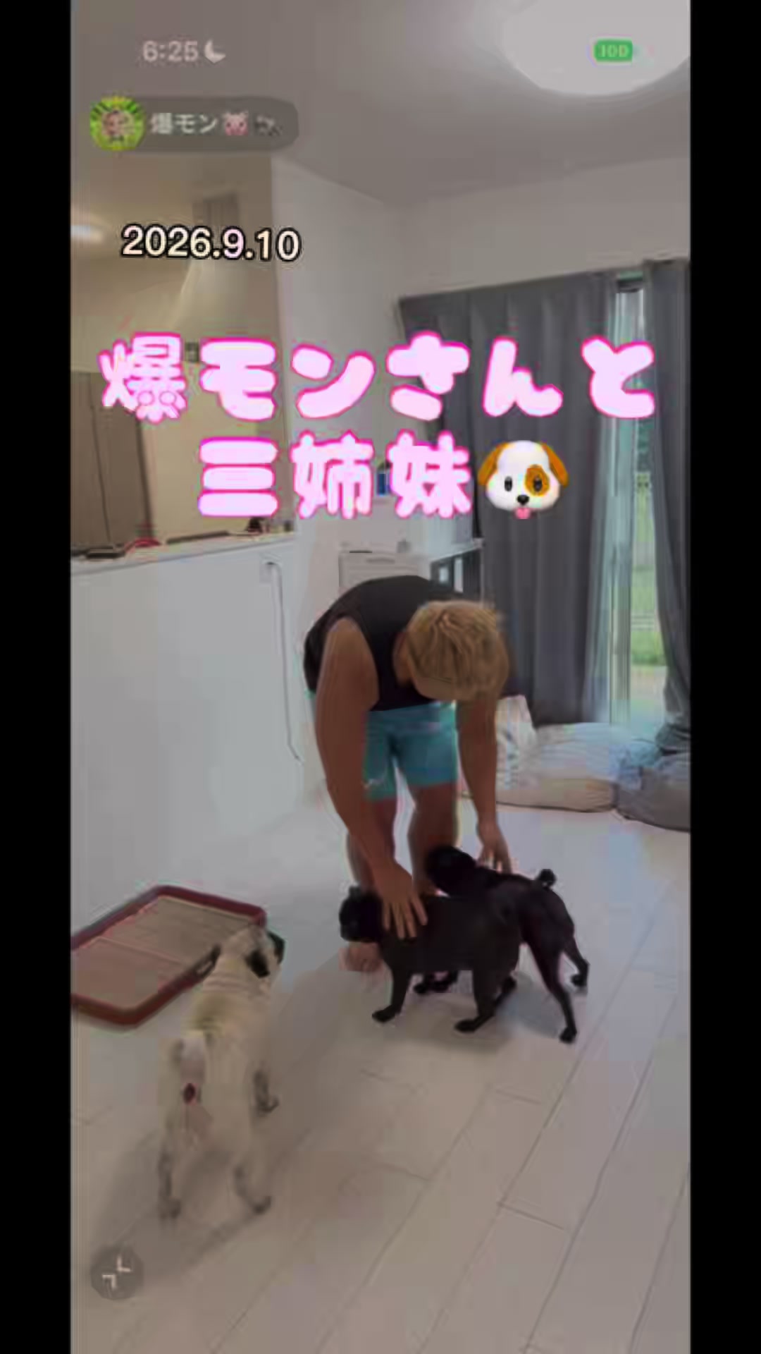 @すずか🧊🫧