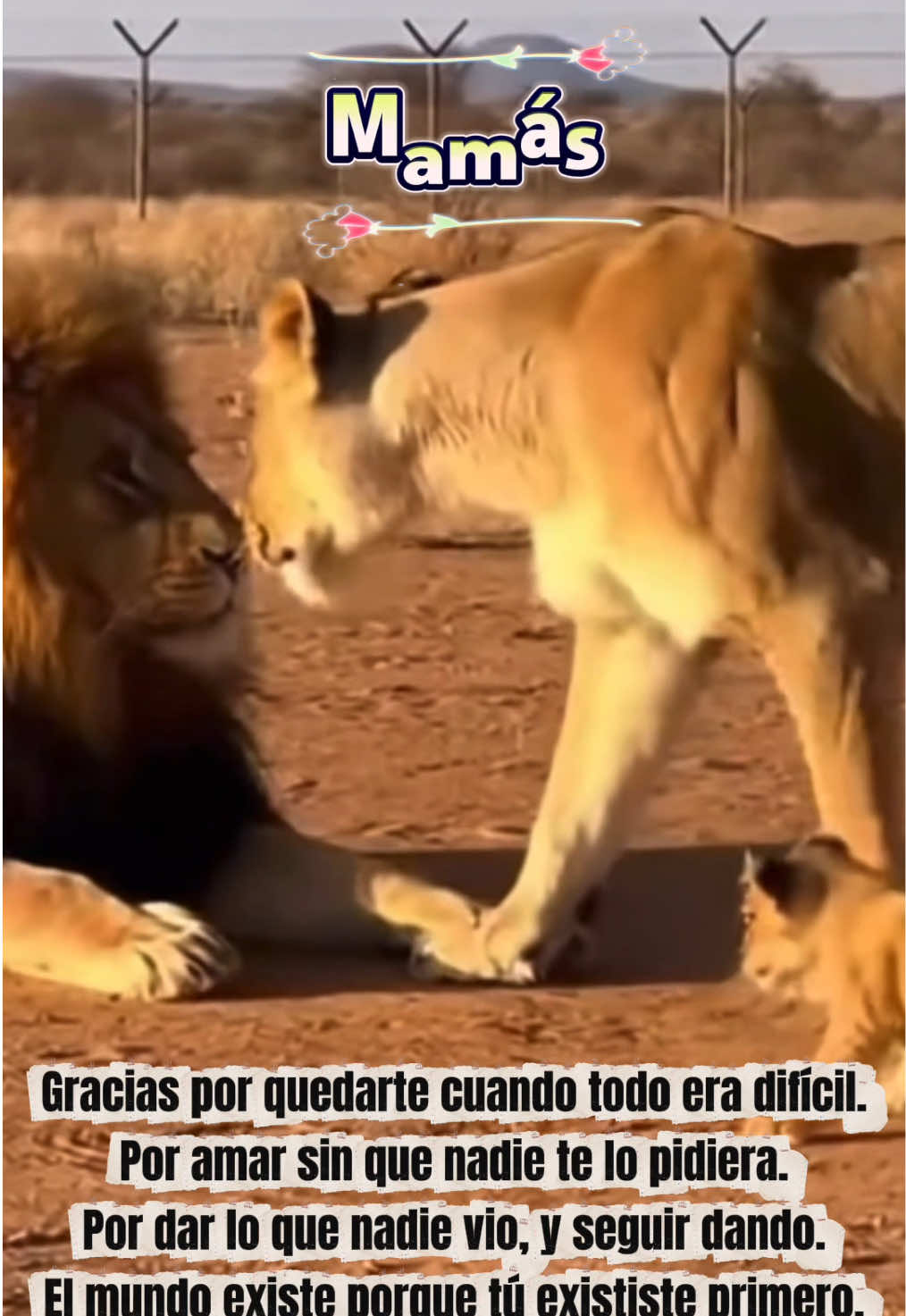 @mejoratuvidaOI
