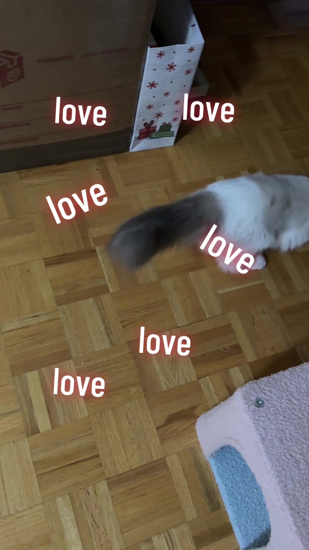 @Princess Yuna 😽
