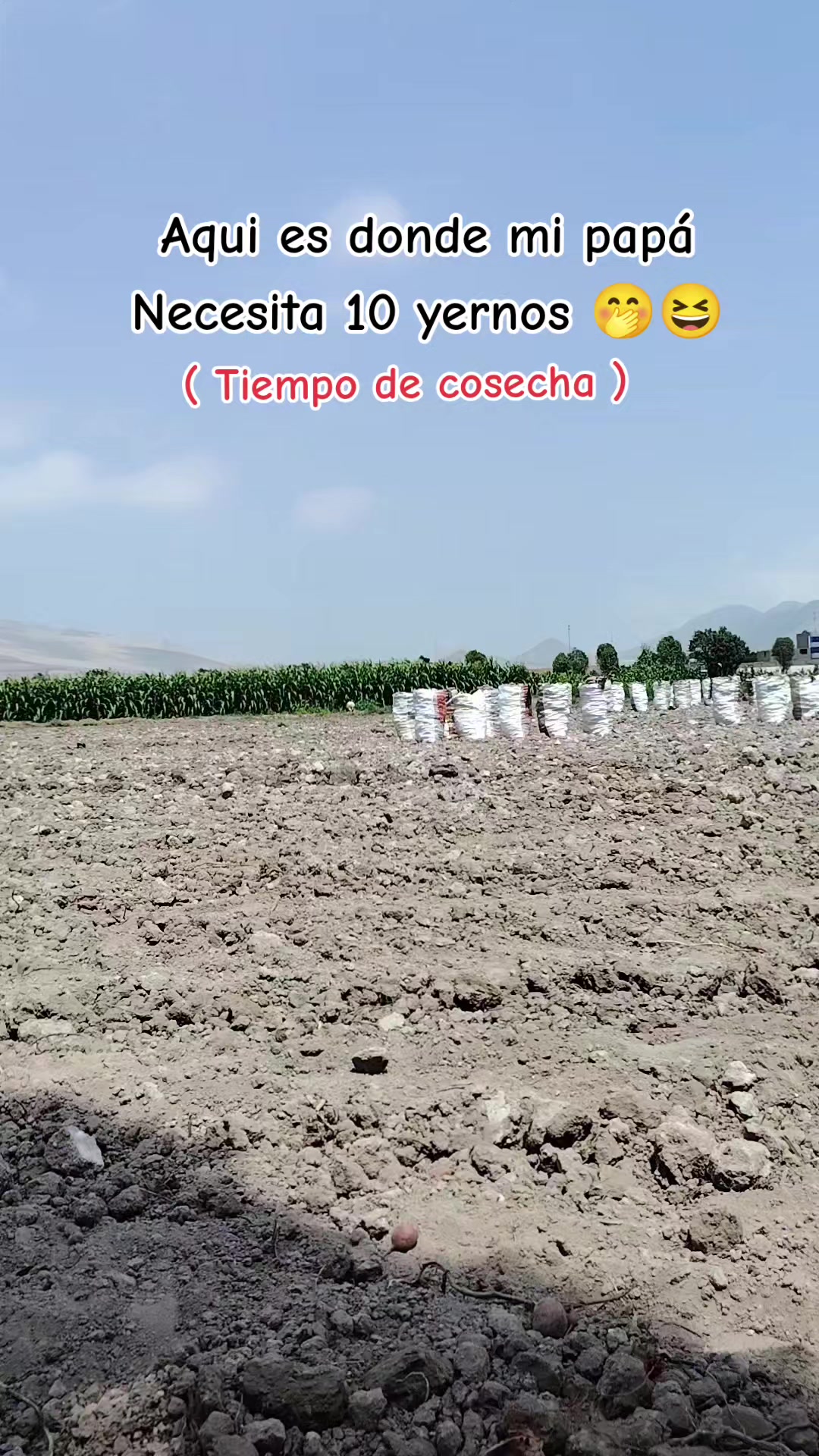 @🤍 🦋Erika🦋 🤍