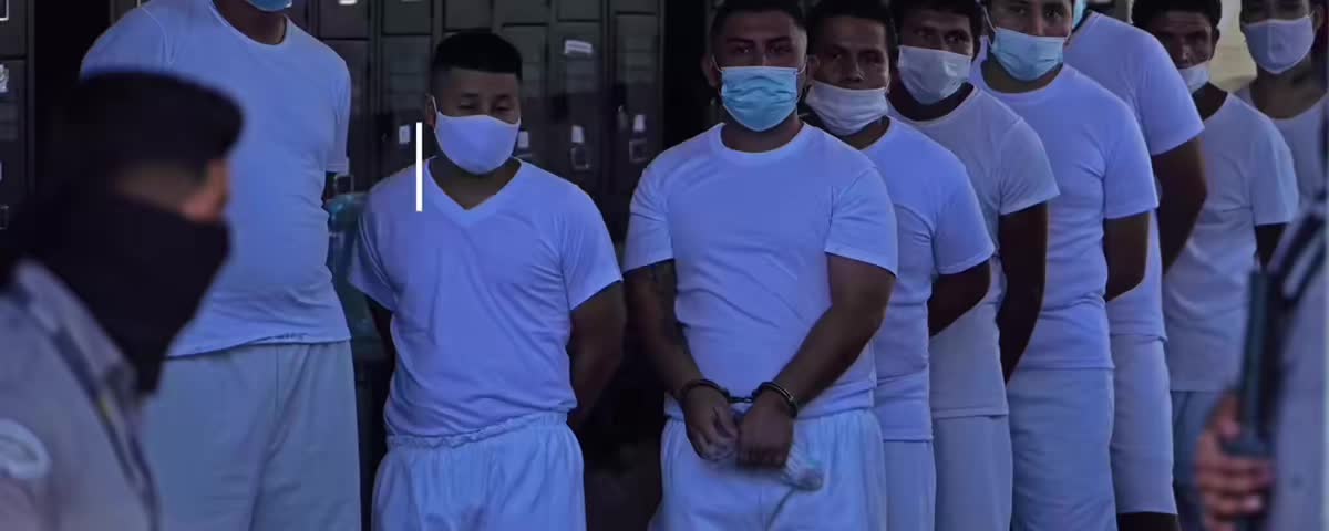 @El Salvador 503 🇸🇻