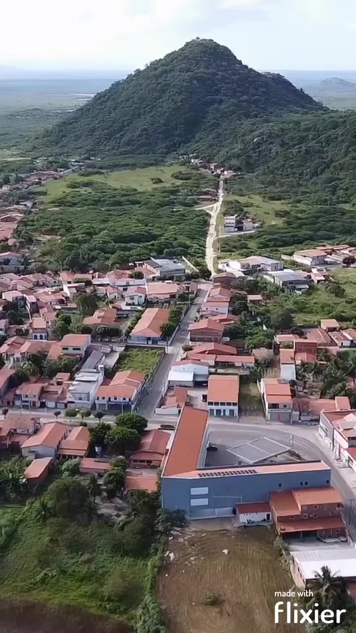 @Coisas Do Meu Sert&atilde;o19