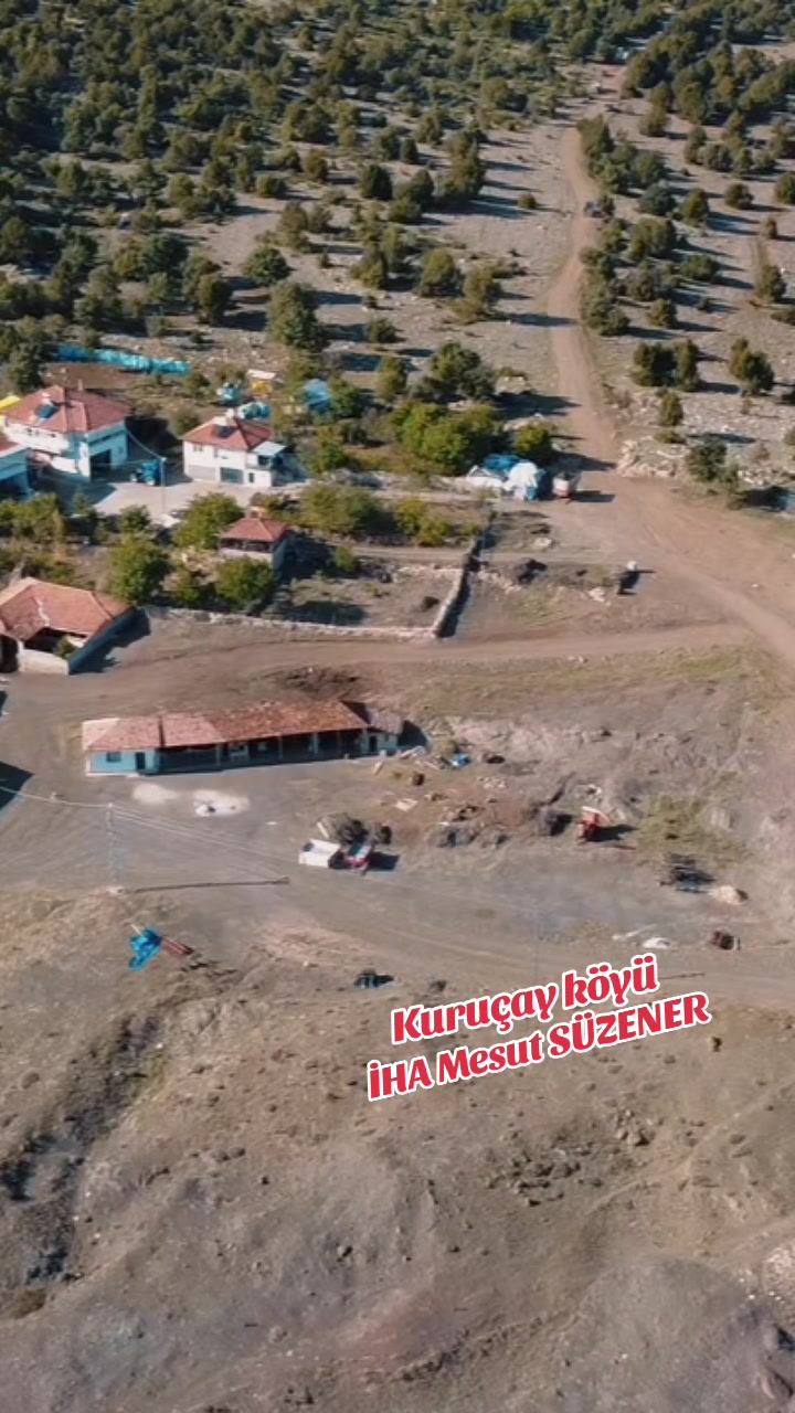 @mesut süzener
