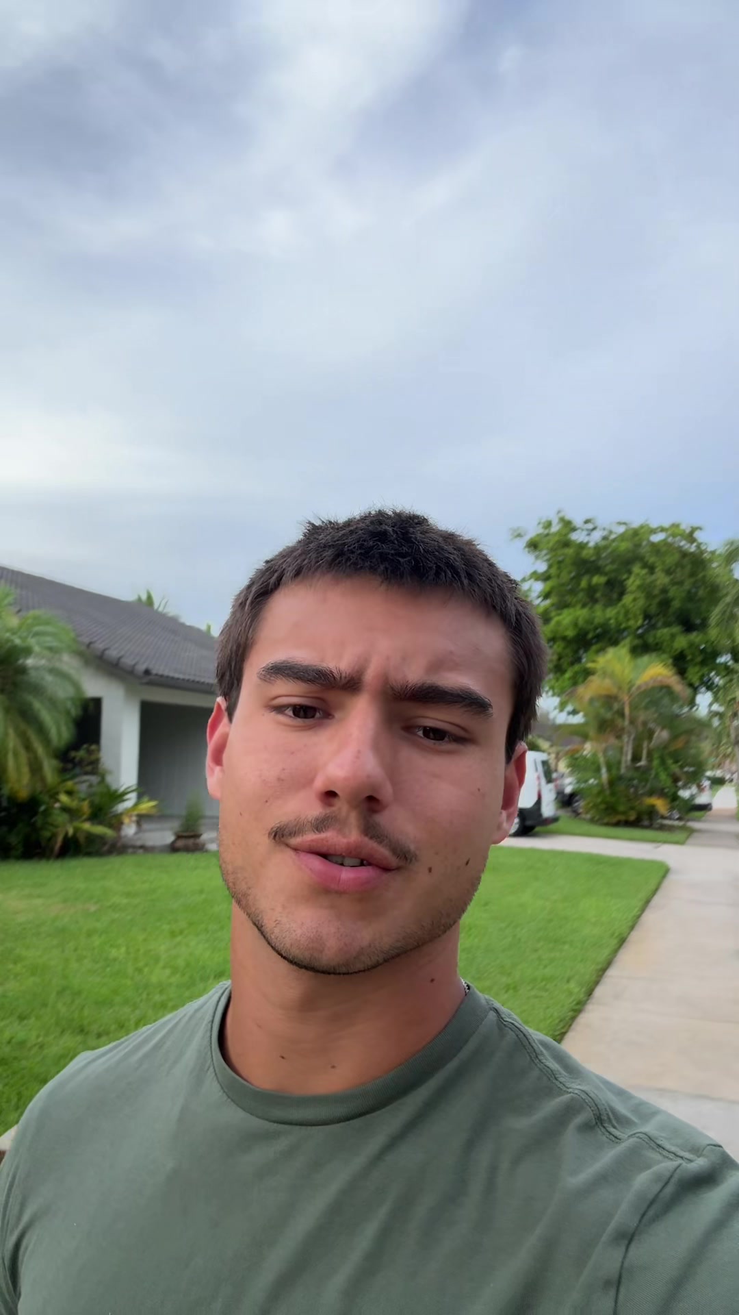 @mendiolaenusa