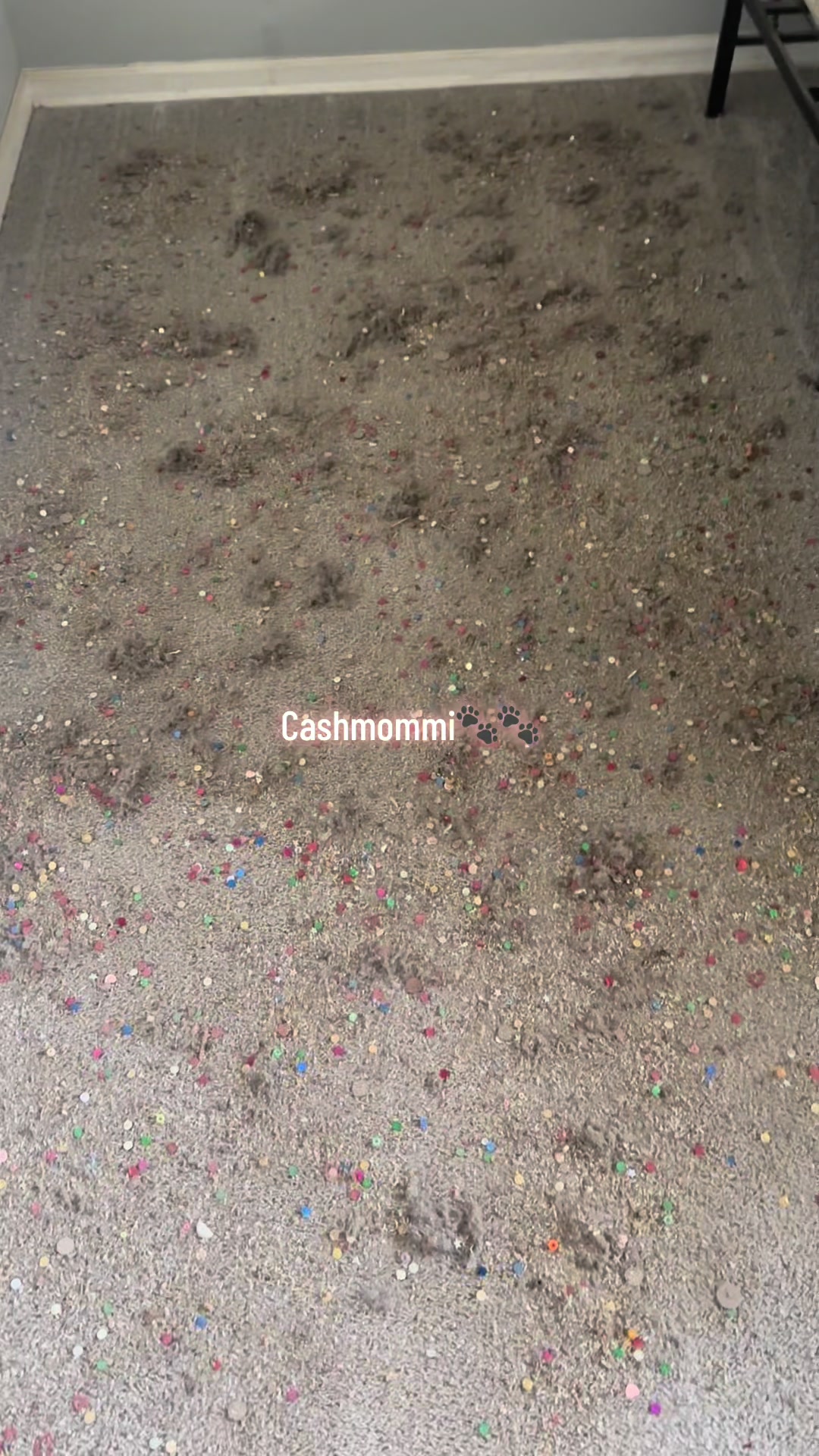 @CashmommiVacs