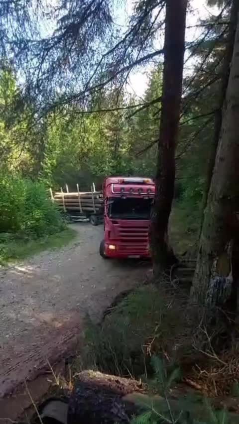@🌲VRANIĆ🌲