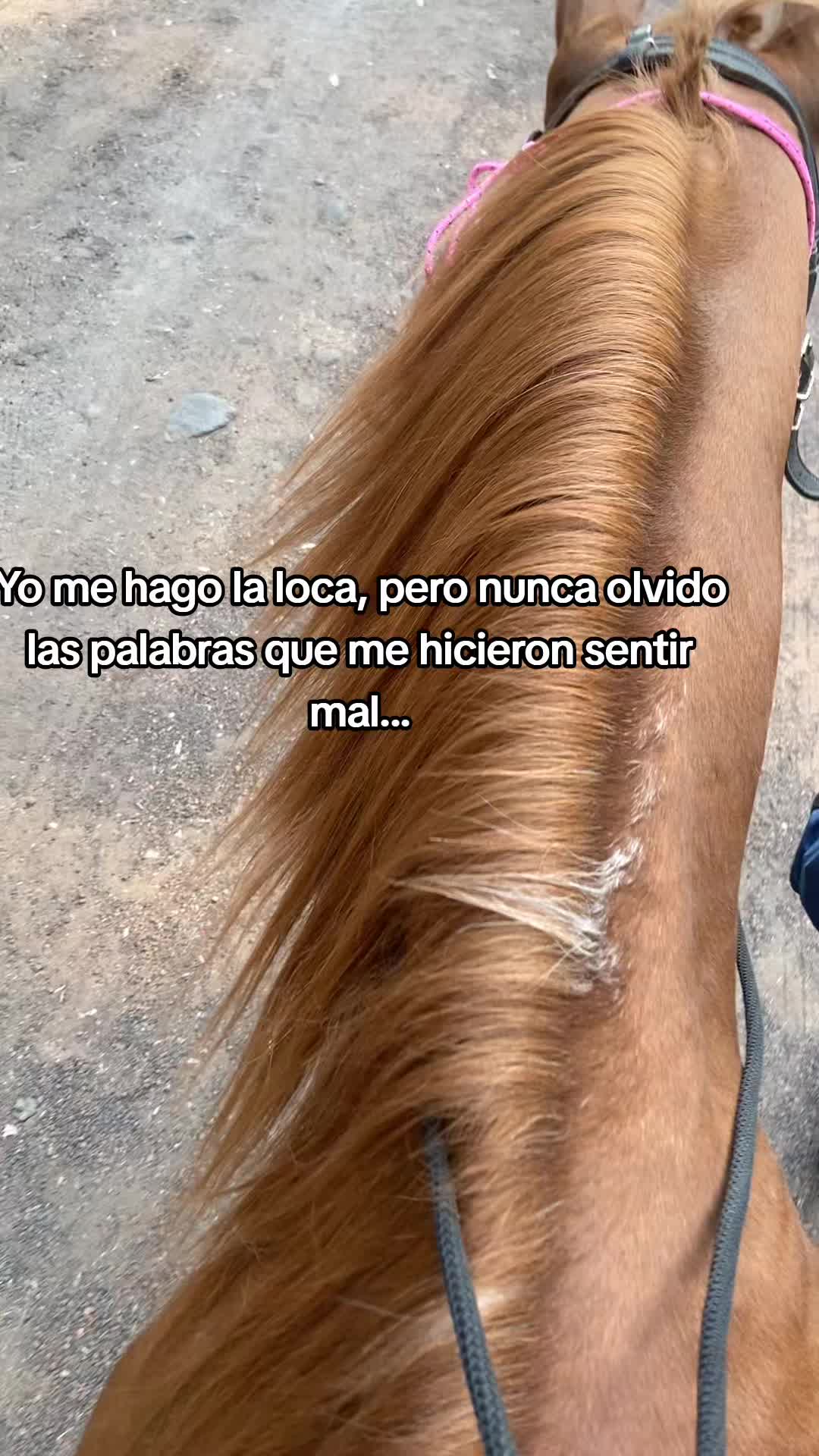 @Fernanda Dazz 💕