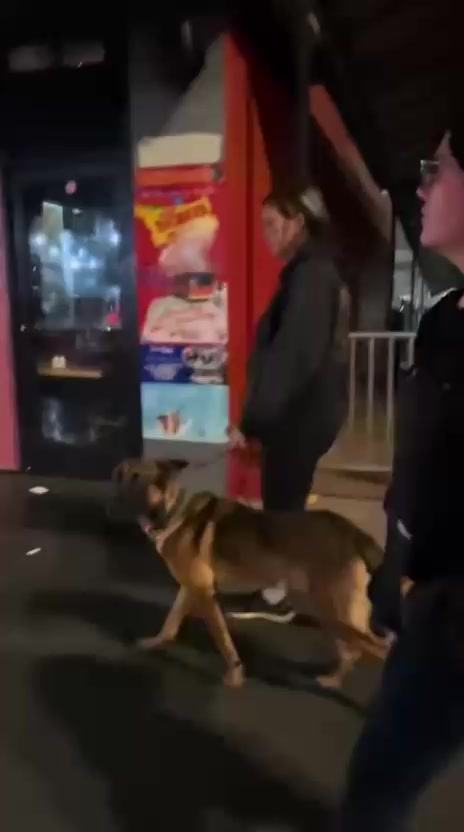 @RaisingHell.Hounds🇨🇦
