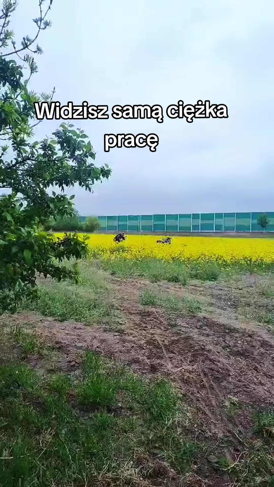 @Anonimowy