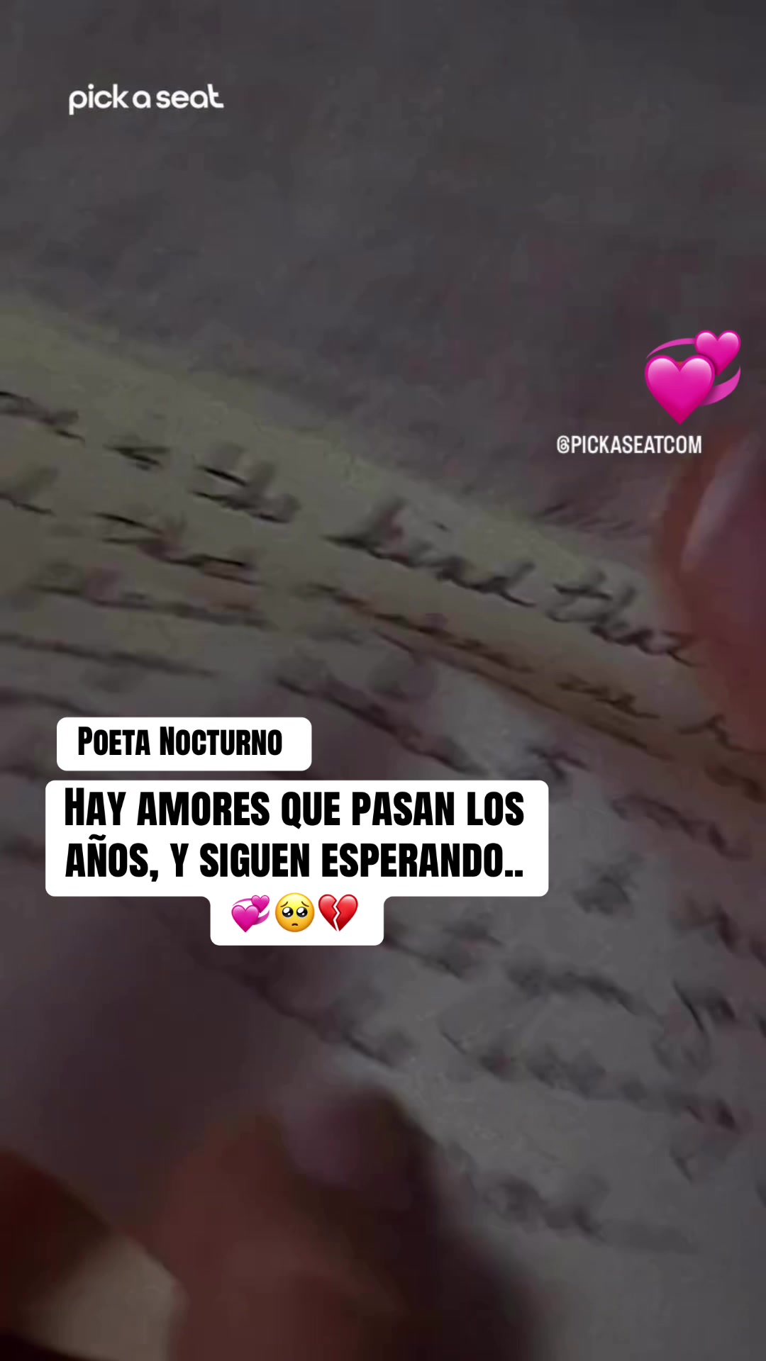 @Poeta Nocturno 503