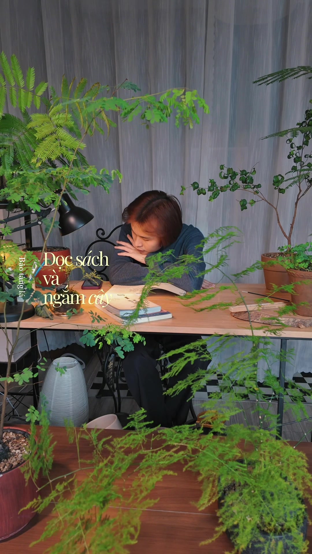 @Bảo tàng lá