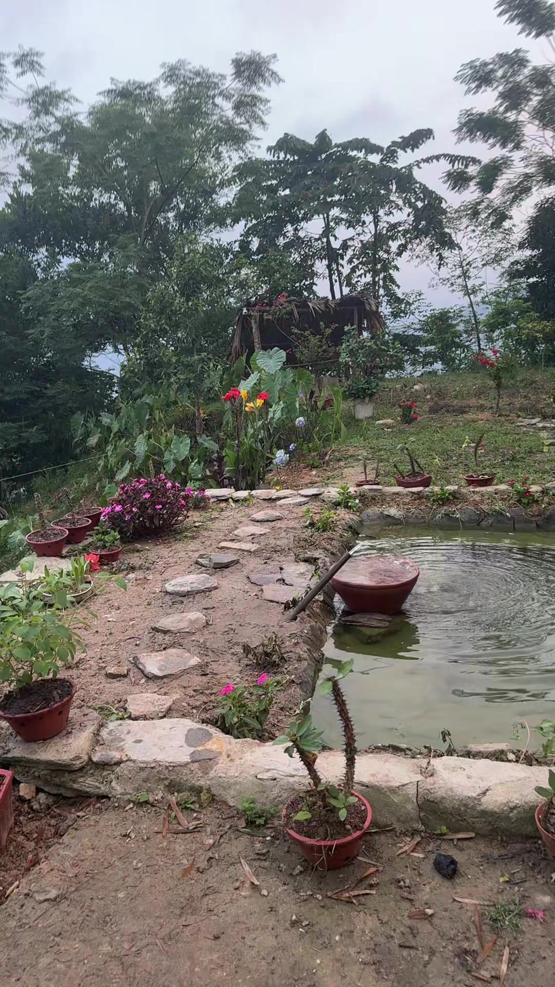 @H&agrave; Thị Mu&ocirc;n