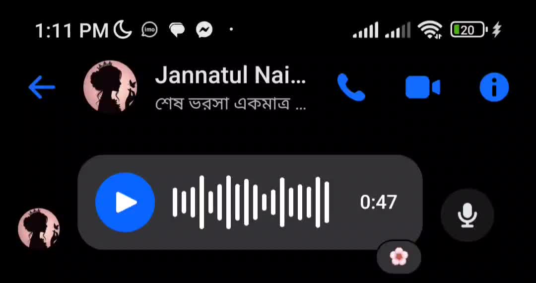 @Voice Of Jannatul