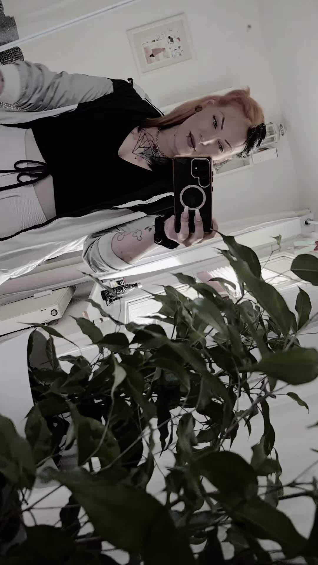 @🌻Sonnebuume🌻