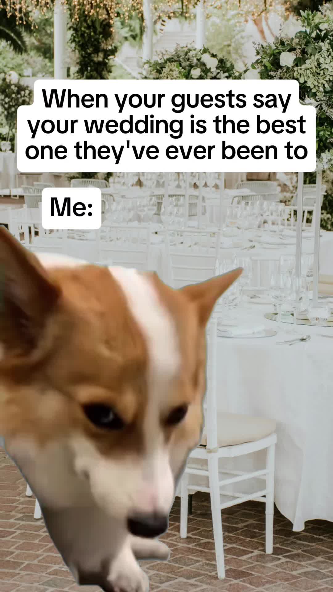 @The Wedding Boss