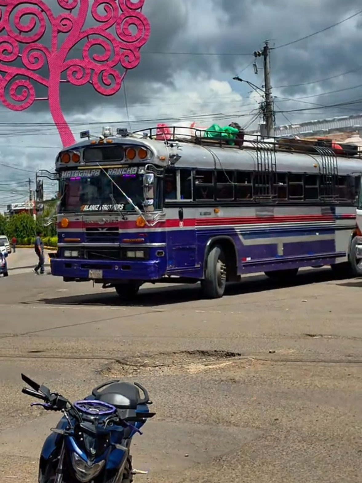 @๐ฟ๐ถ ๐๐๐๐น๐๐๐ถ ๐ฆ๐๐๐