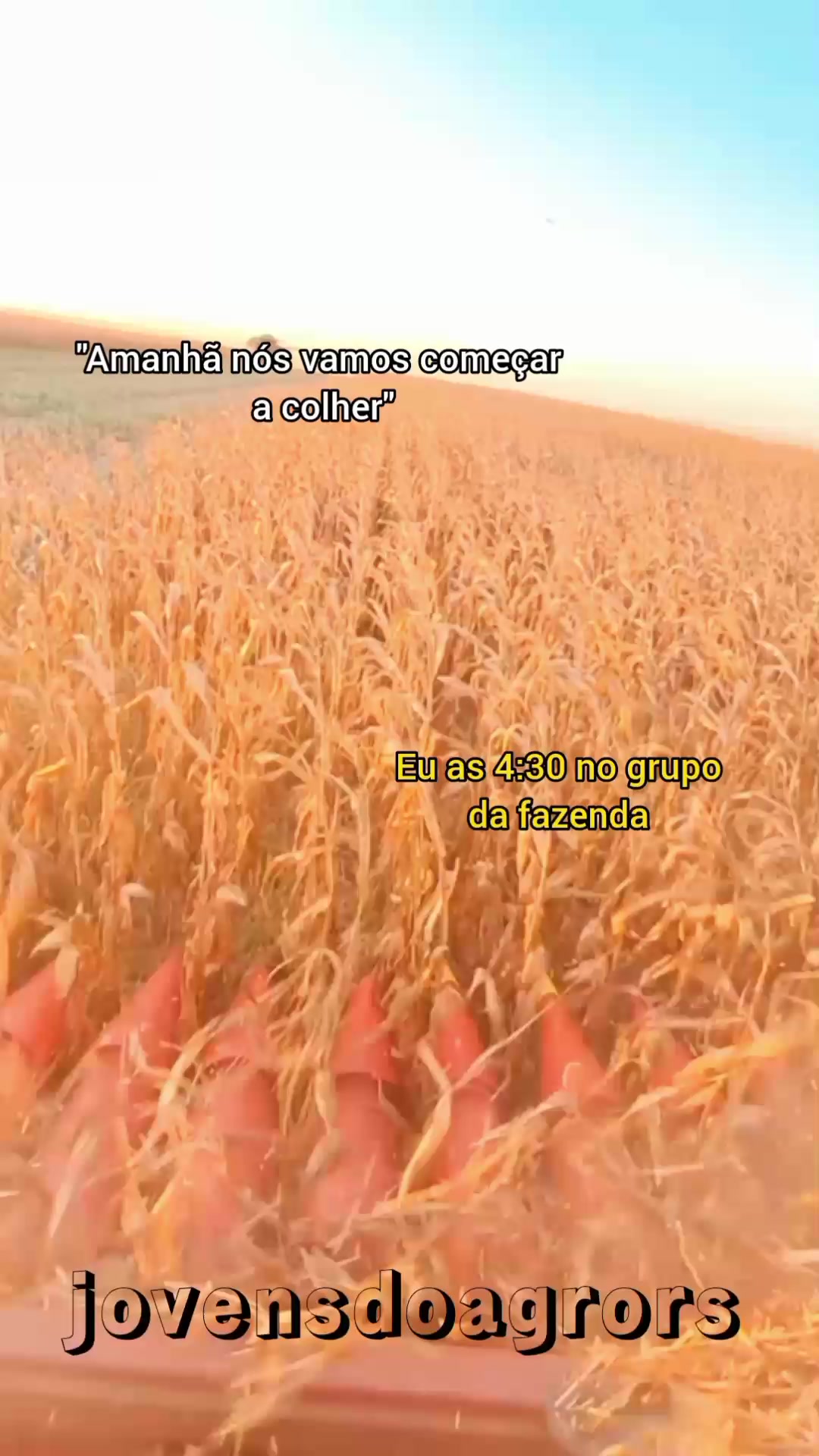 @JOVENS DO AGRO RS