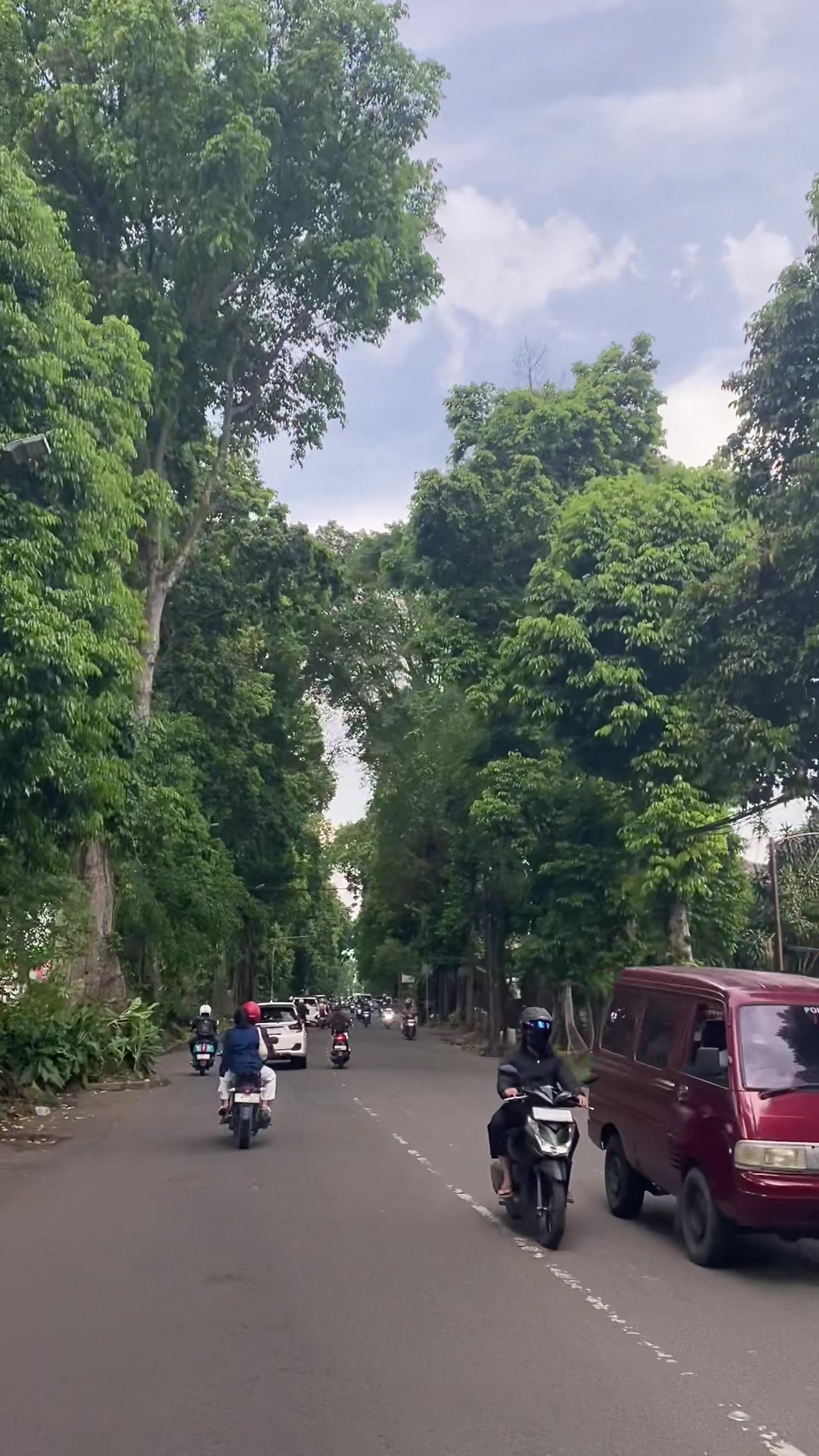 @🍃