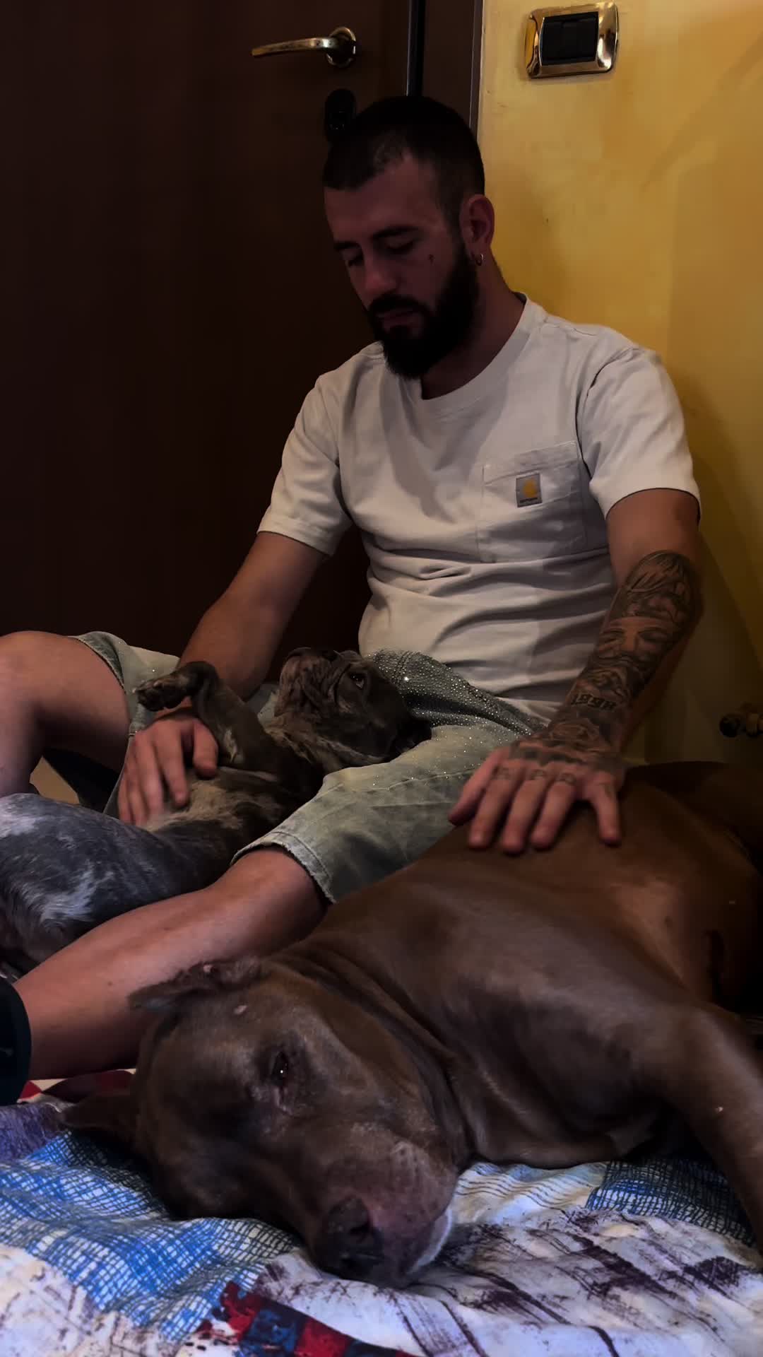 @👦🏻Luca&yago🐶