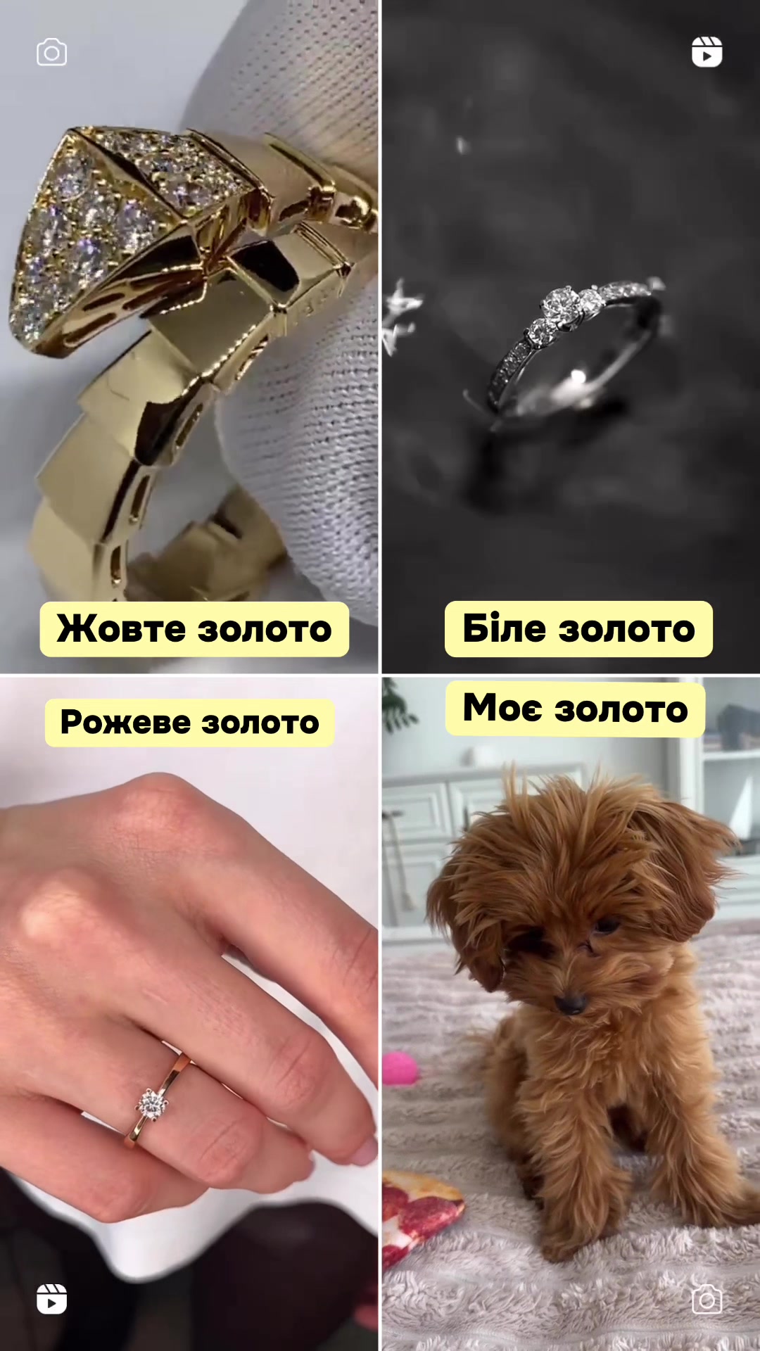 @Мальтипух Кіра