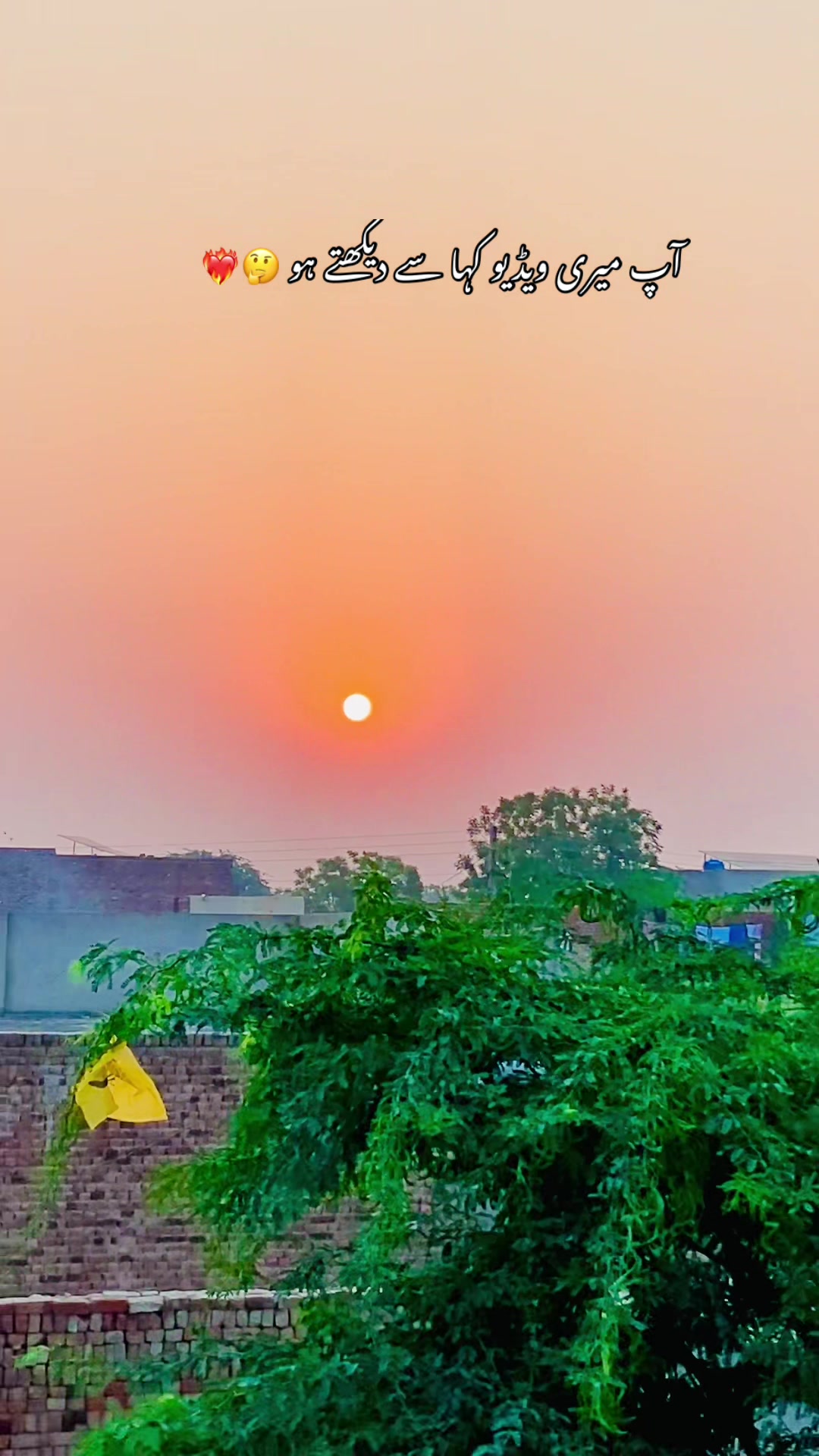@🥀🌾 پنجابی کلچر 🥀🌾
