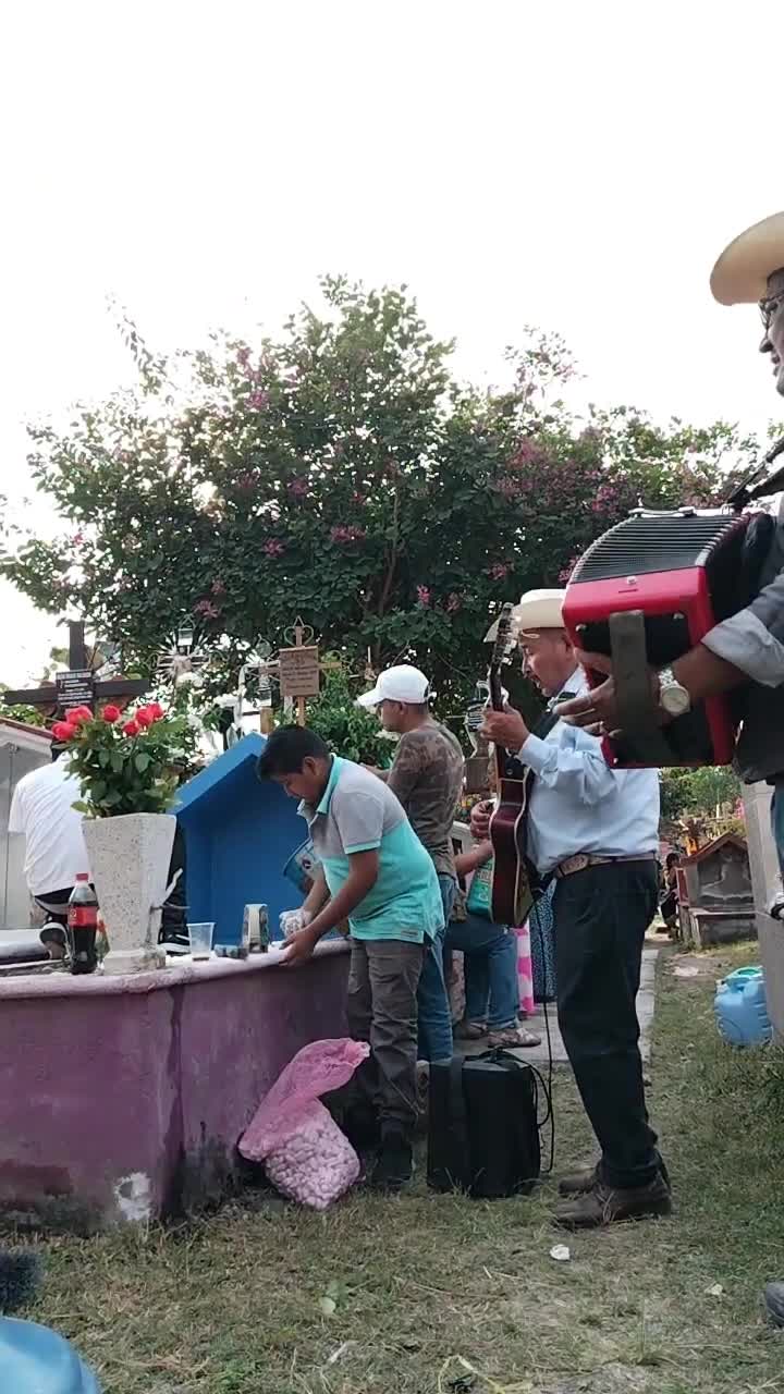@️Rockelita