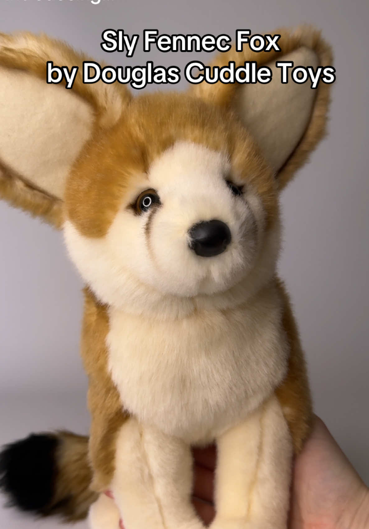 @Wonder Wolf Plush