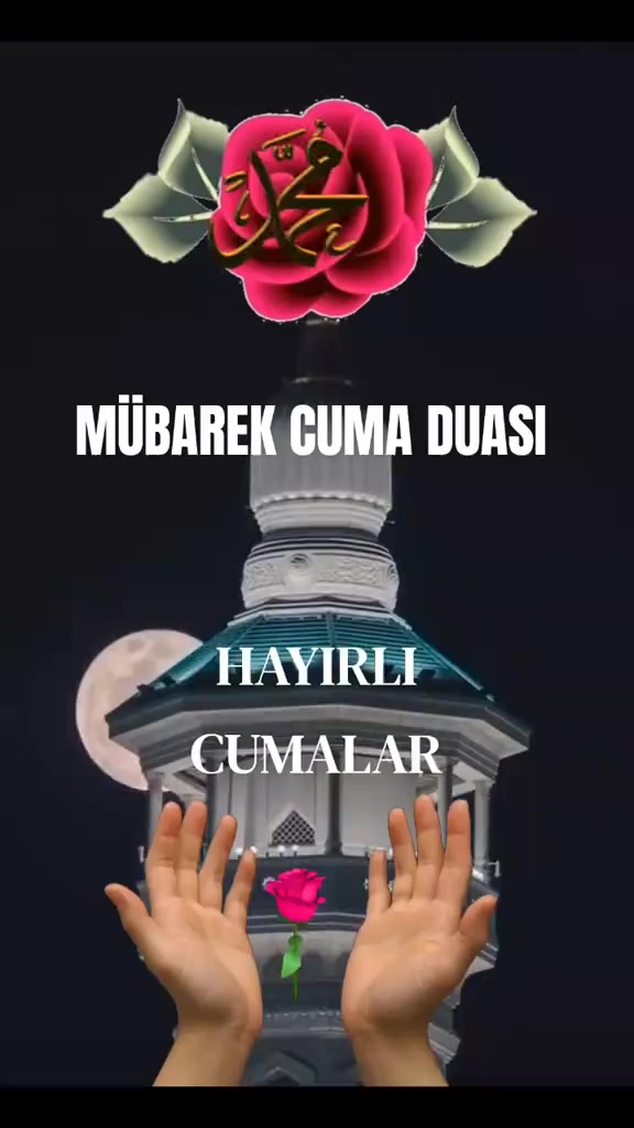 @Yusuf Gün493