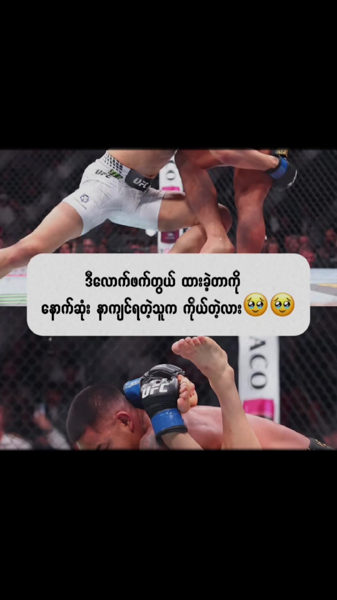 @aungkyawzin884