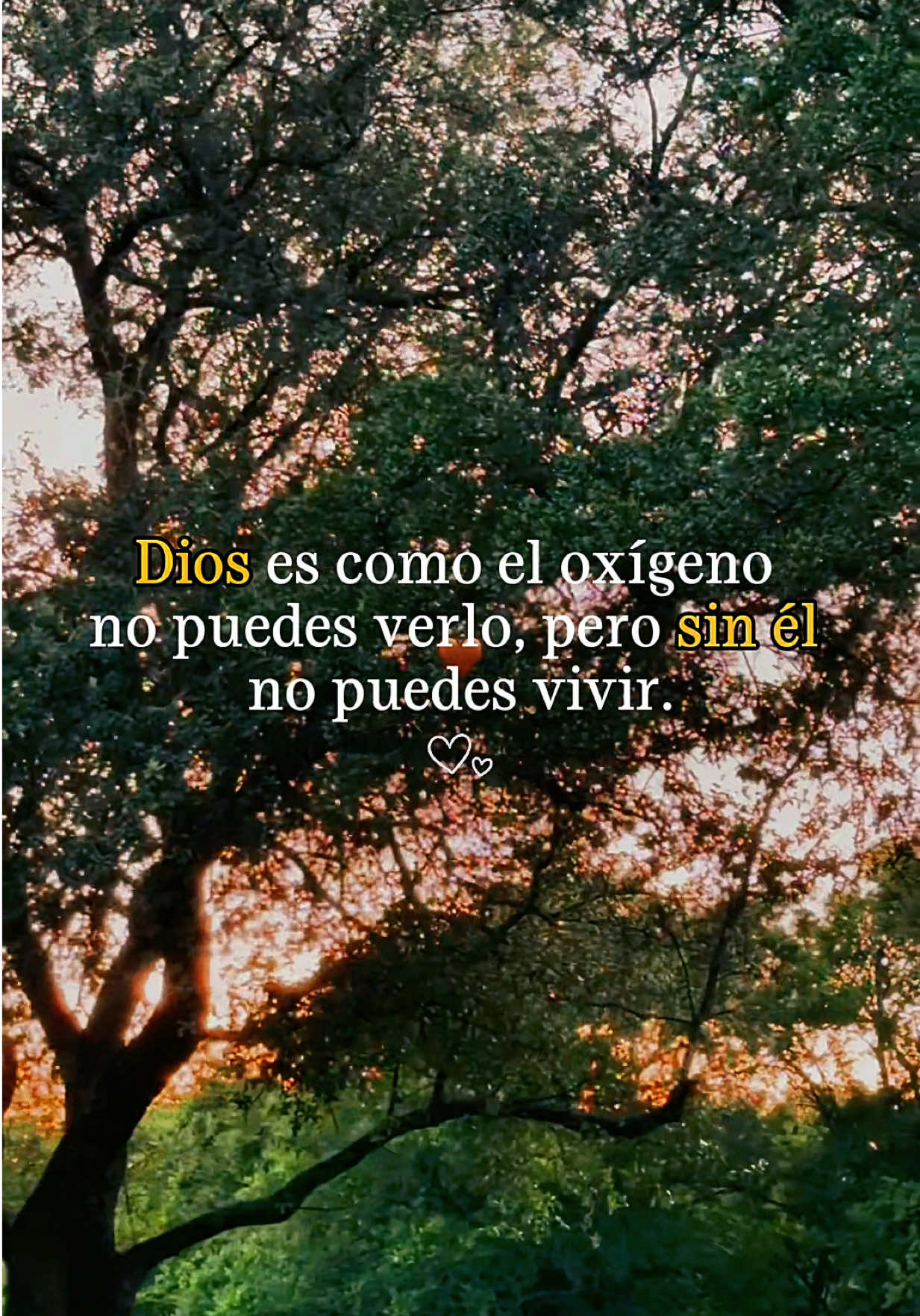 @Yesi_latin🍓🌵