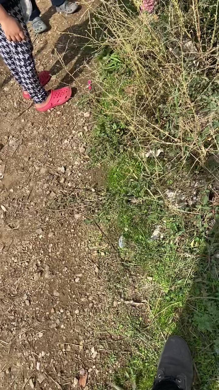@gökhan basıc