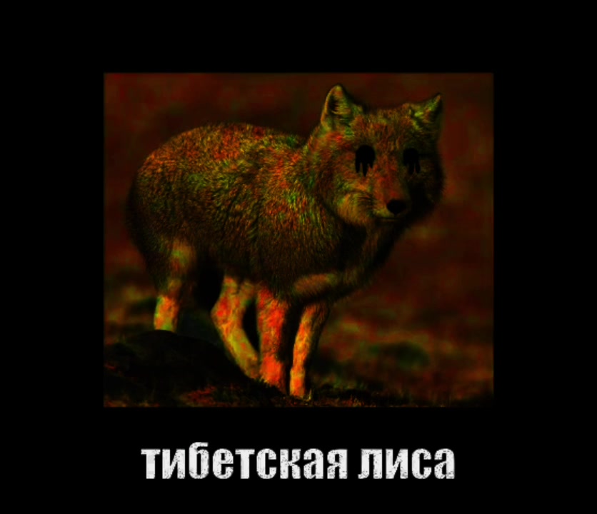 @миланег[💙/💜]🤙