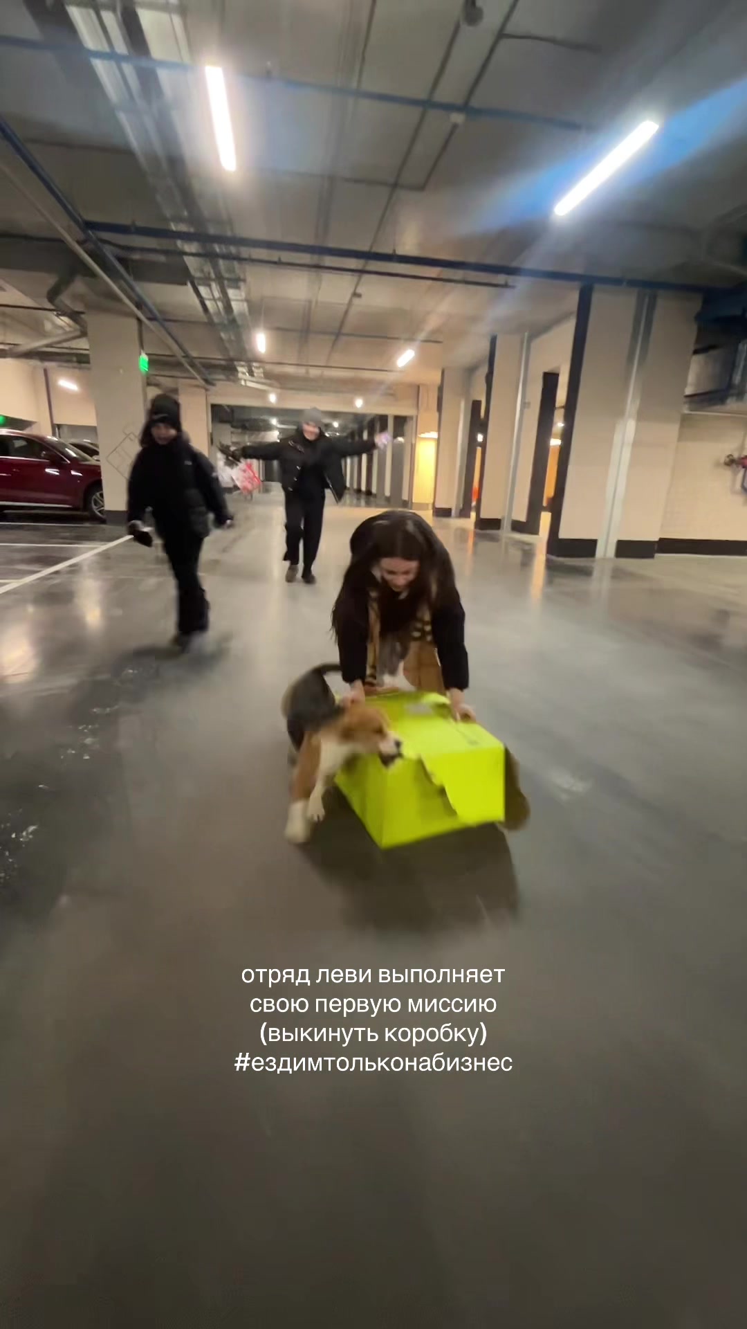 @поклоняемся хайтани