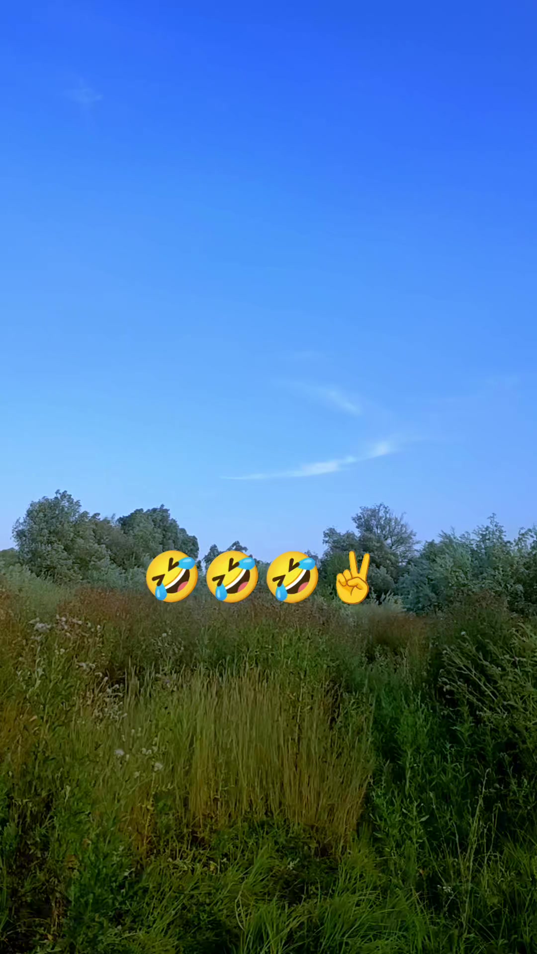 @꧁🦅 ᏙႮᏞͲႮᎡႮᏞ🦅꧂