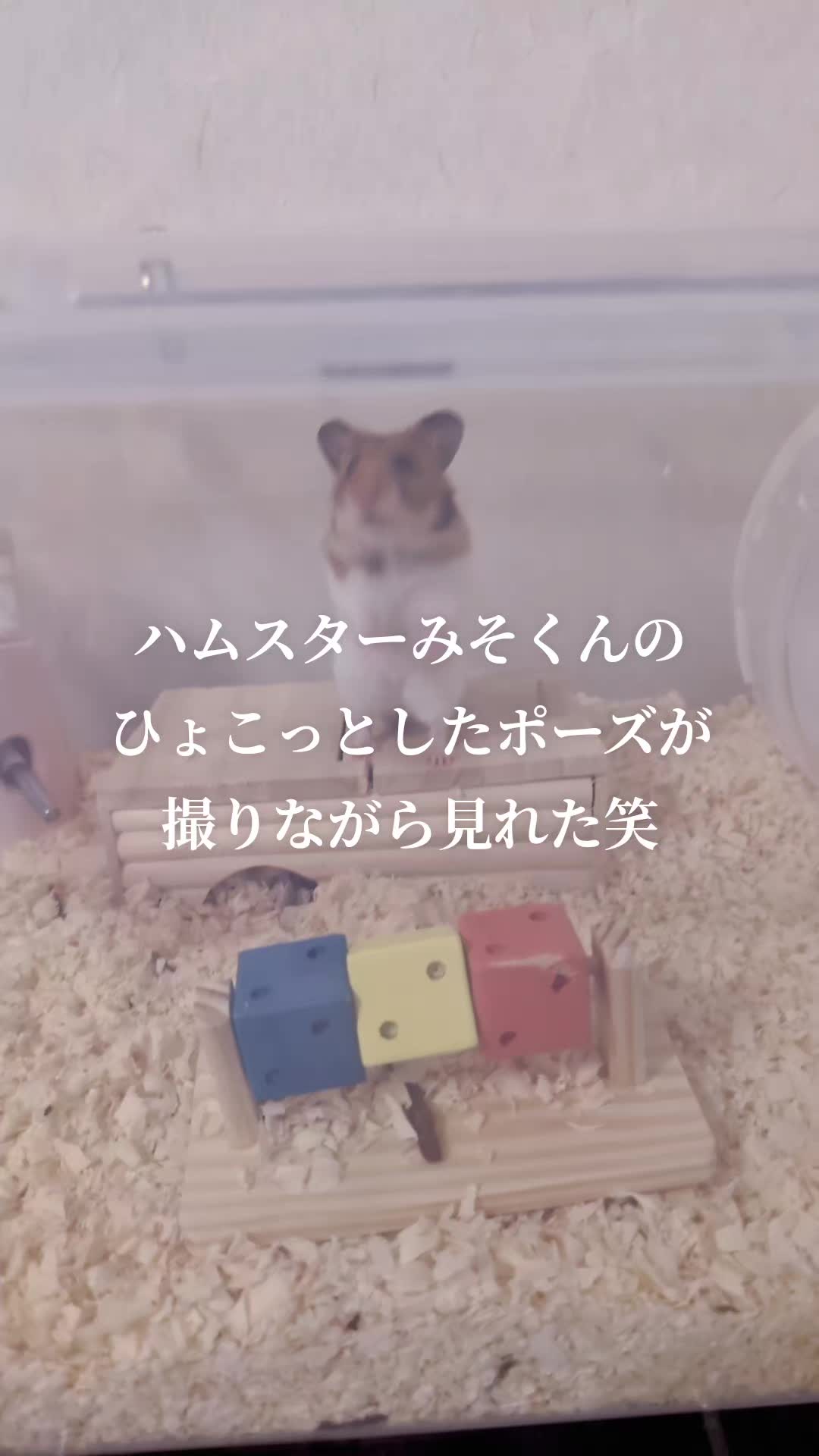 @K・B・M