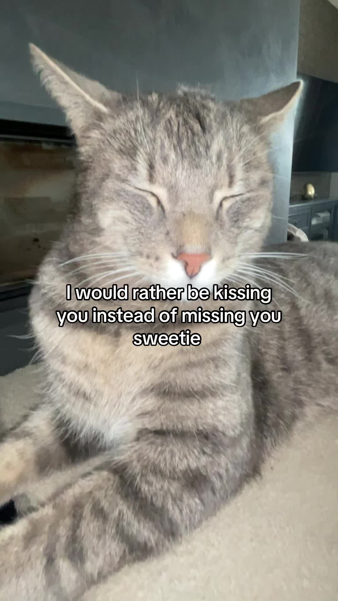@Micky