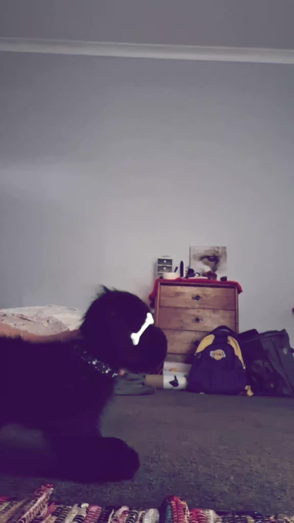 @𖦹 ׂ 𓈒 🥞 / ⋆ ۪SpaceDogs𐙚🧸