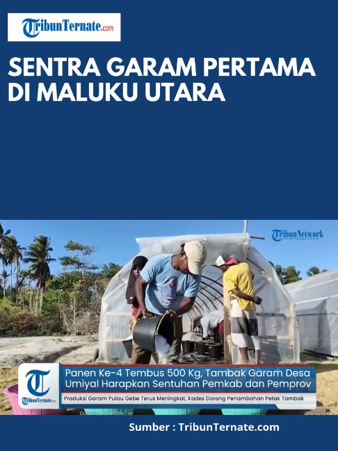 @TribunTernate.com