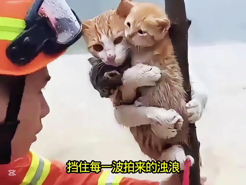 @liujiangyu